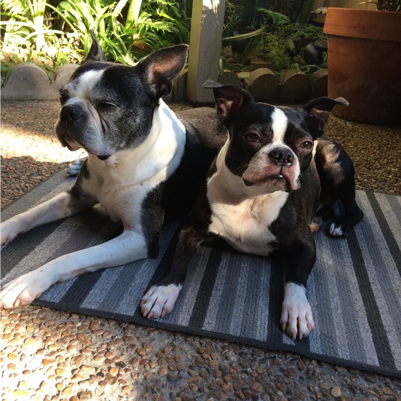 Meet your Posher, Amy - Picture 2 of 3